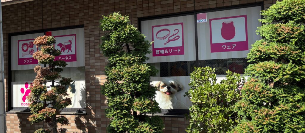 No.604 ウィンドウサイン 